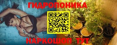 индика Ливны