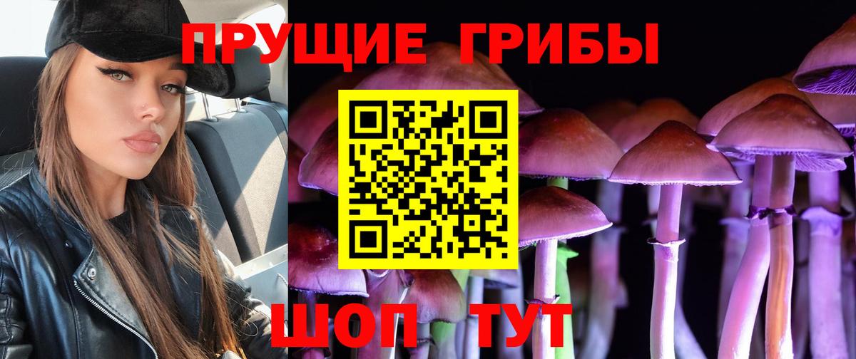 Тара  Галлюциногенные грибы GOLDEN TEACHER  Вход с VPN 